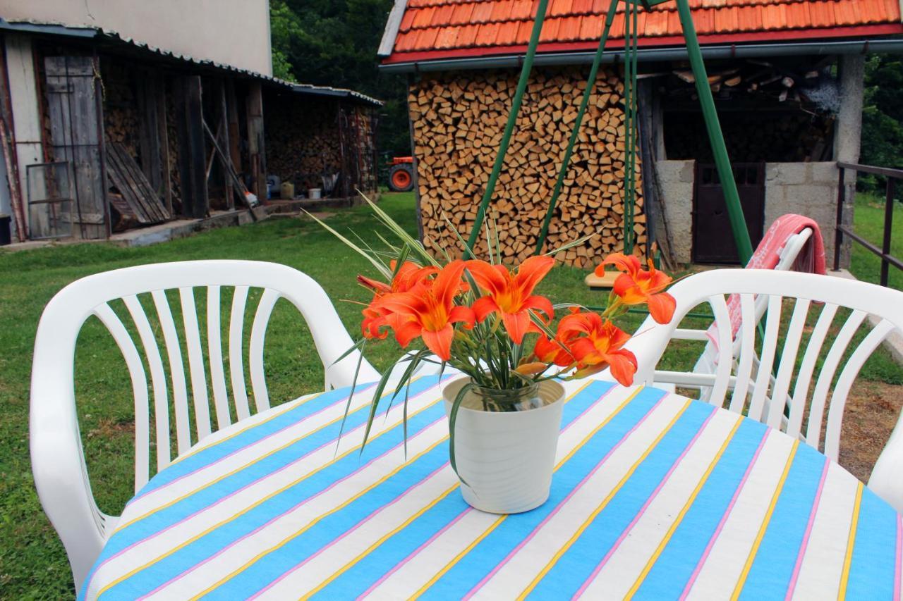 Kuca Za Odmor Cicki Vrh Villa Brestova Draga ภายนอก รูปภาพ